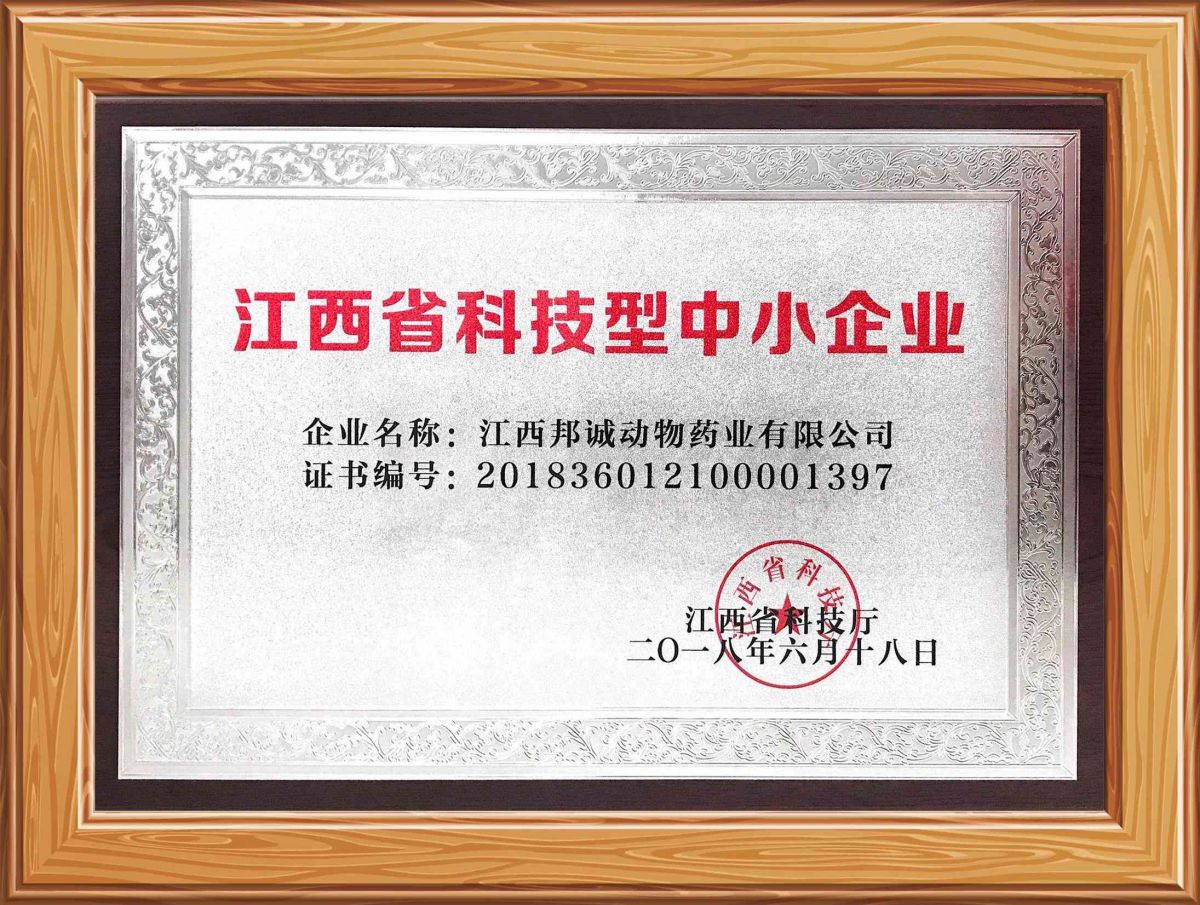 zhongxiao