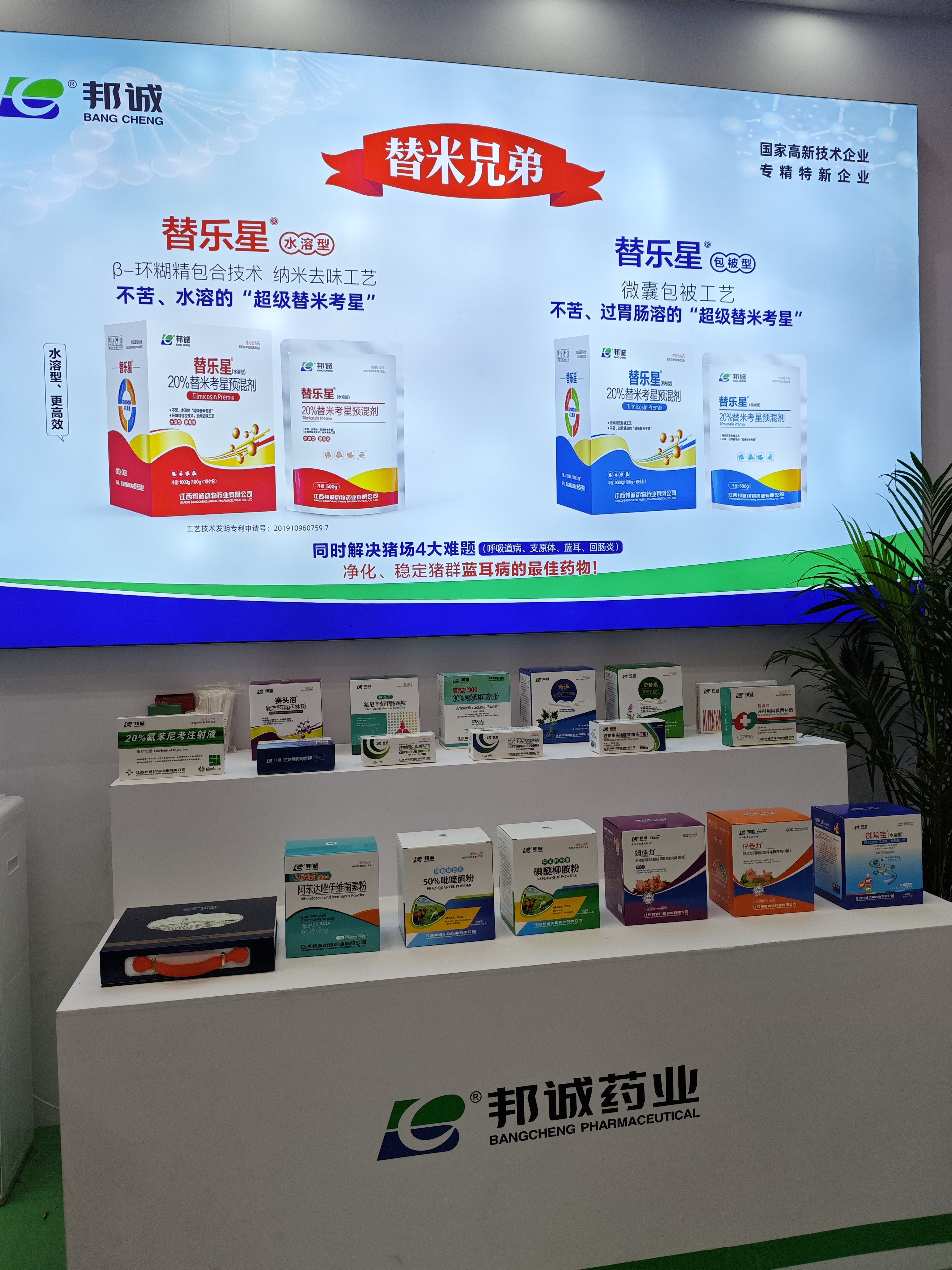 图片6