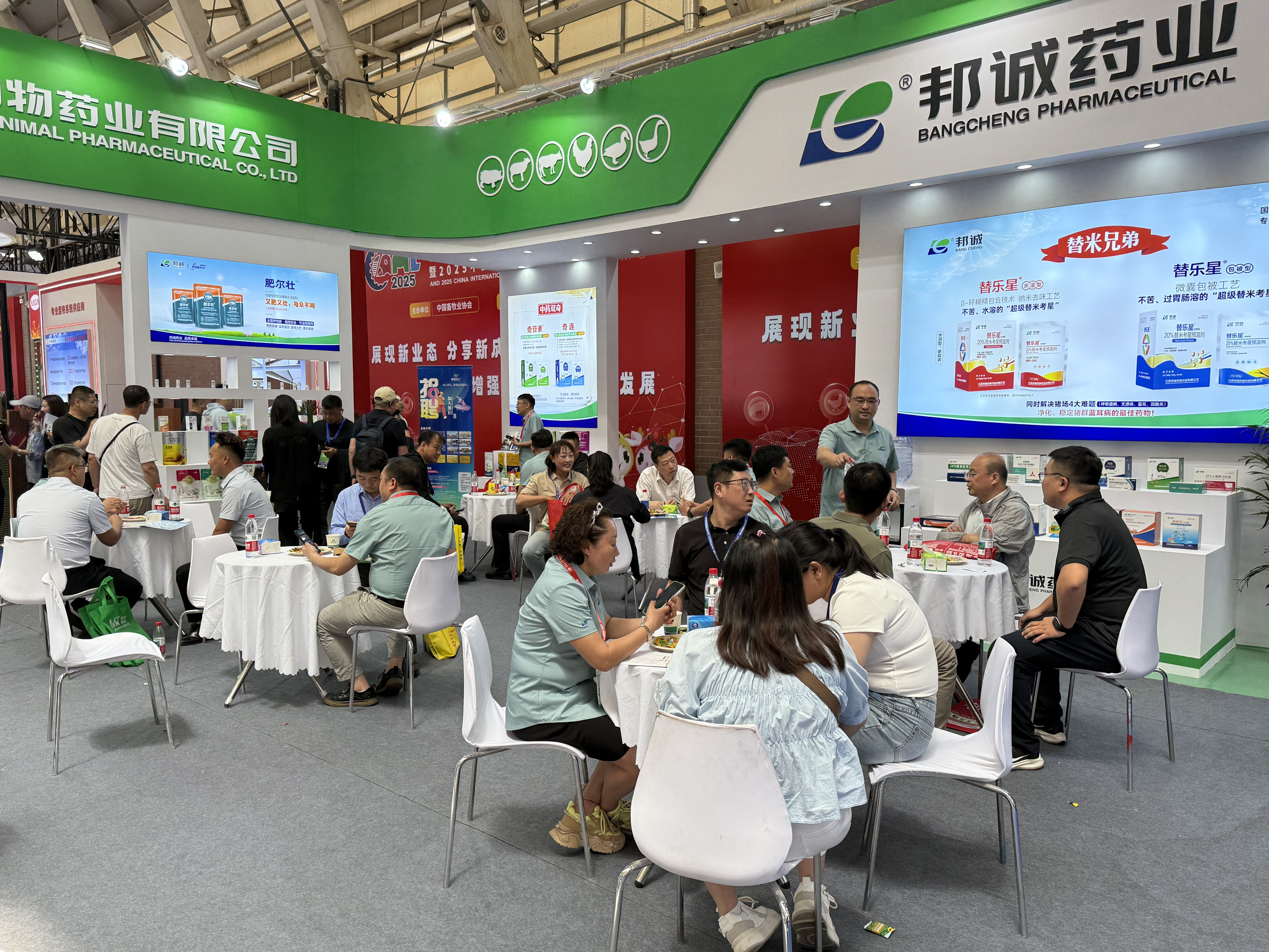 图片8